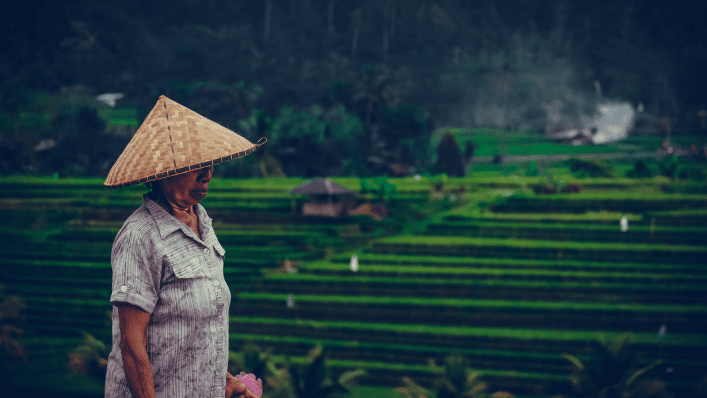 Bhumitara Foundation