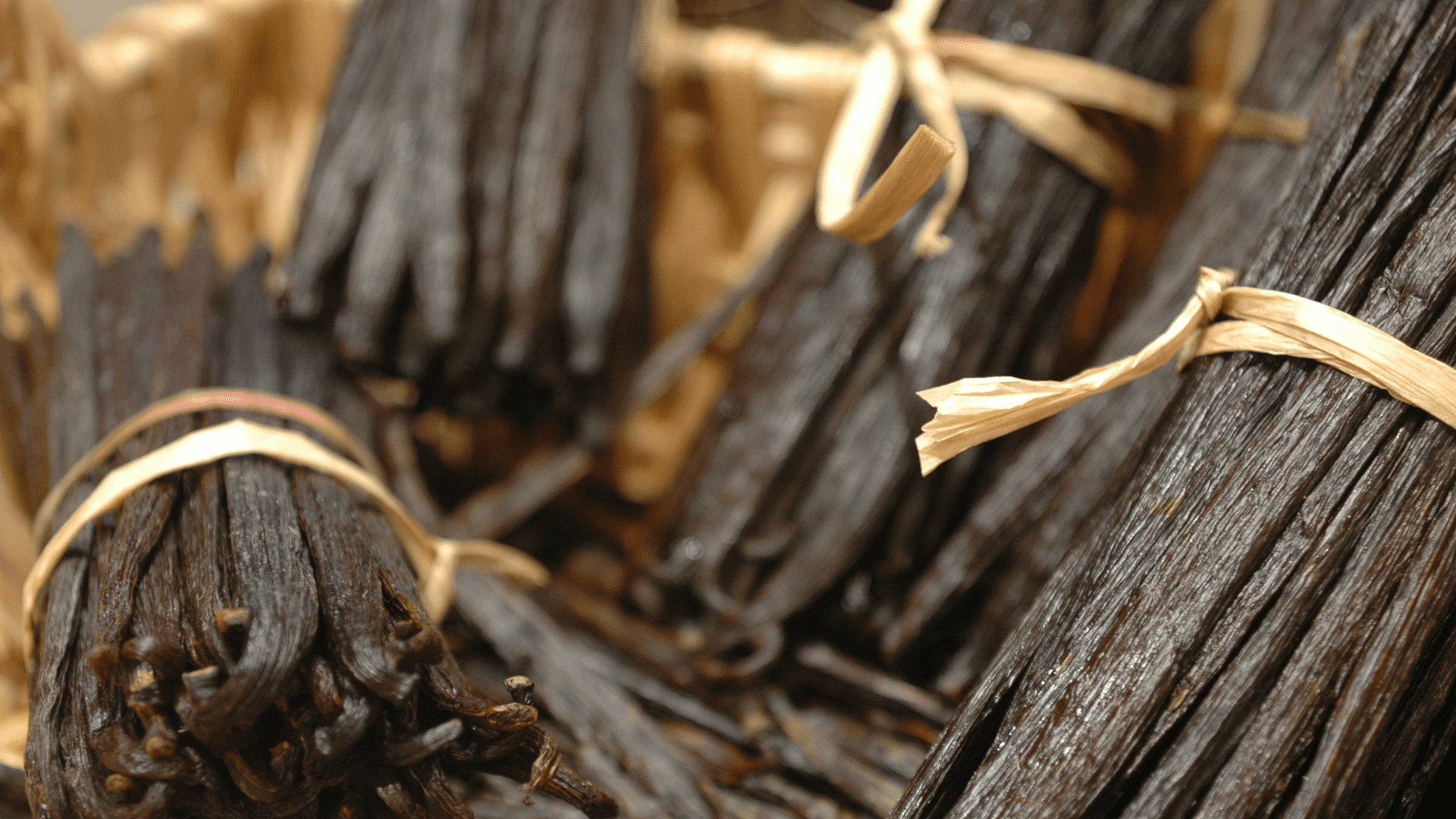 Bhumitara Foundation