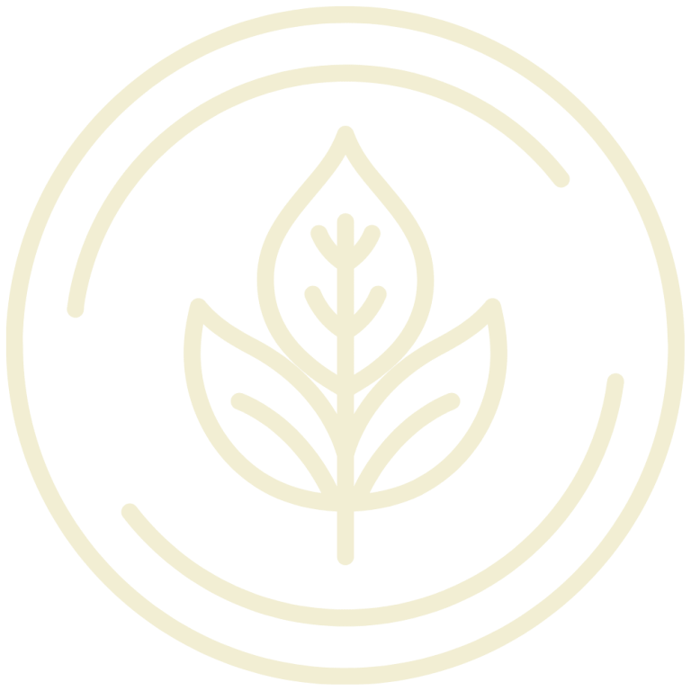 Bhumitara Foundation
