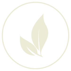 Environment