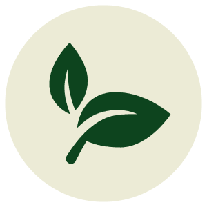 BIODIVERSITY