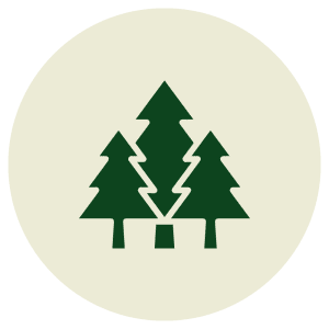 REGENERATIVE AGROFORESTRY
